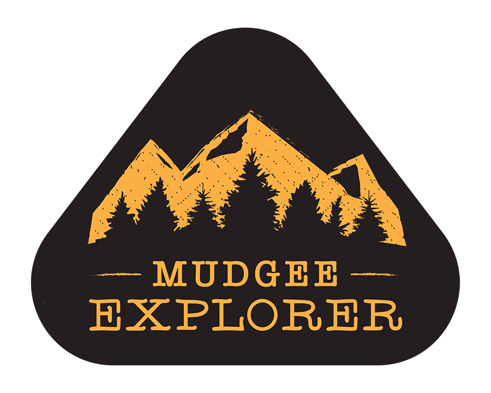 mudgee observatory tours